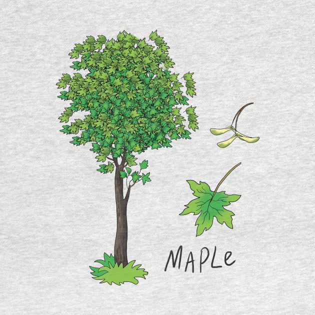 Maple tree by sonaart